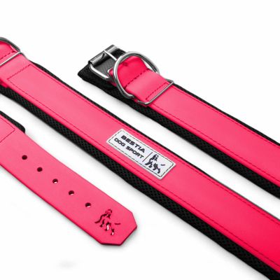 BEAST COLLIER SPORT POUR CHIEN NEON ROSE