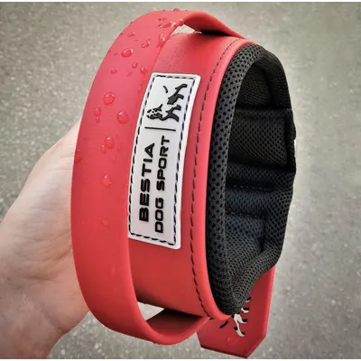BESTIA DOG SPORT HALSBAND MIT GRIFF ALLES ROT