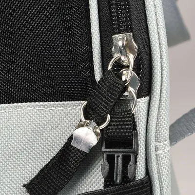 Sac de transport pour chat et chien - Gris