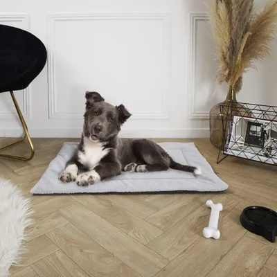 Tapis doux Jazz pour chien et chat - Gris