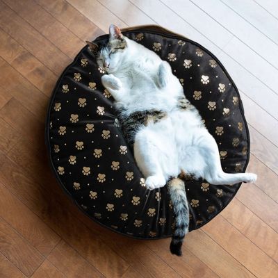 Coussin moelleux Tigrou pour chat et chien