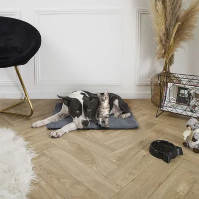 Tapis thermique isolant pour chien et chat - Gris