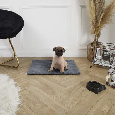 Tapis thermique isolant pour chien et chat - Gris