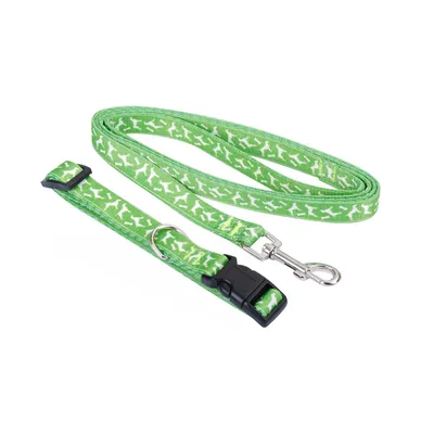 Collier laisse - Vert