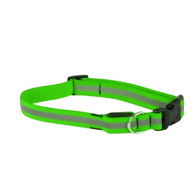 Collier pour chien réfléchissant - Vert