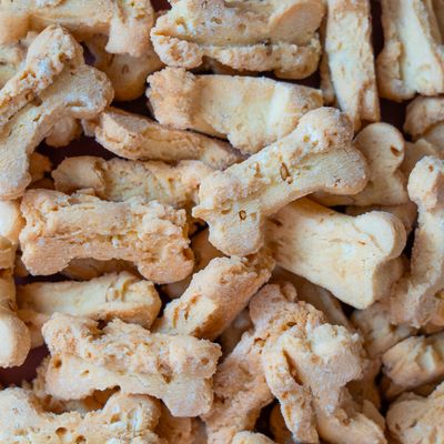 Fin Museau - Friandises Bio Sans Céréales "Anniversaire" pour Chien
