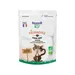 Nestor - Friandises Chat Saumon frais