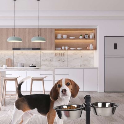 Bar à chien porte-gamelles avec 2 bols inox