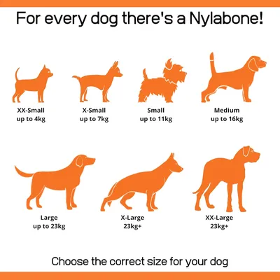 Nylabone Jouet à mâcher pour chiens