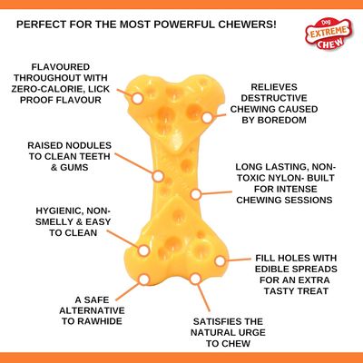 Nylabone Jouet à mâcher pour chiens