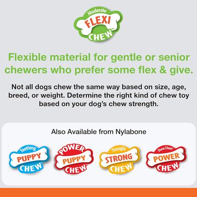 Nylabone Jouet à mâcher pour chiens