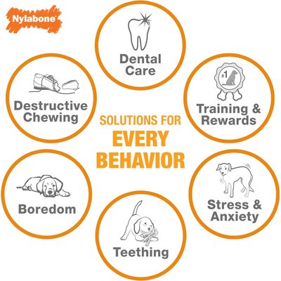 Nylabone Jouet à mâcher pour chiens