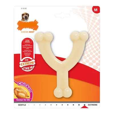 Nylabone Jouet à mâcher pour chiens Nylabone Jouet à mâcher pour chiens