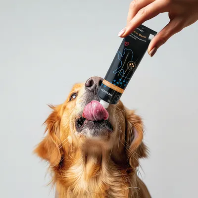 entoVITAL DOG Vitamin Boost pâte vitaminée pour chiens