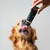 entoVITAL DOG Vitamin Boost pâte vitaminée pour chiens