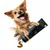 entoVITAL DOG Vitamin Boost pâte vitaminée pour chiens