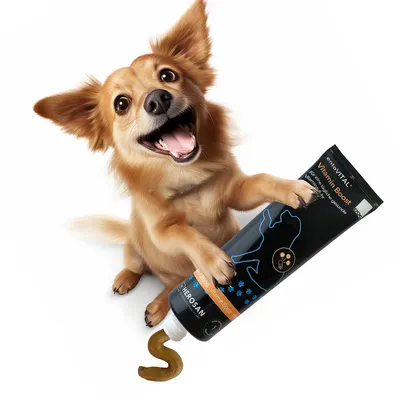 entoVITAL DOG Vitamin Boost pâte vitaminée pour chiens