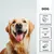 entoVITAL DOG Vitamin Boost pâte vitaminée pour chiens