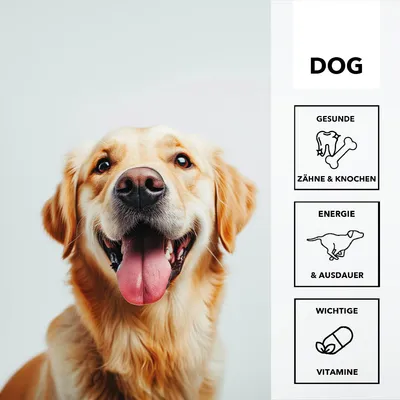 entoVITAL DOG Vitamin Boost pâte vitaminée pour chiens