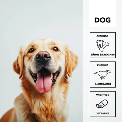 entoVITAL DOG Vitamin Boost pâte vitaminée pour chiens
