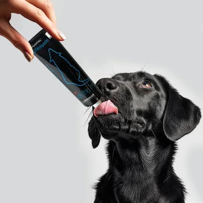 entoVITAL Pâte à lécher hypoallergénique pour chiens