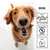 entoVITAL Pâte à lécher hypoallergénique pour chiens