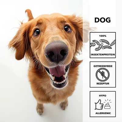 entoVITAL Pâte à lécher hypoallergénique pour chiens