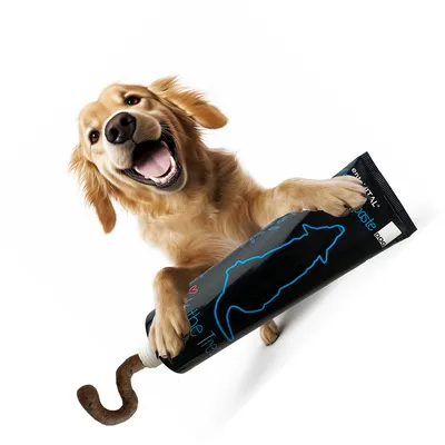 entoVITAL Pâte à lécher hypoallergénique pour chiens