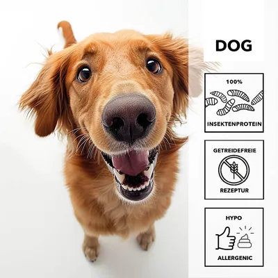 entoVITAL Pâte à lécher hypoallergénique pour chiens