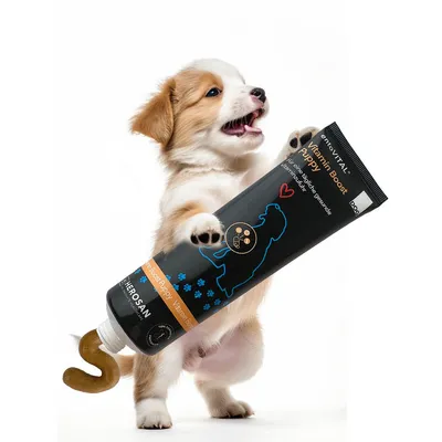 entoVITAL DOG vitamin boost PUPPY pour chiens