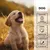entoVITAL DOG vitamin boost PUPPY pour chiens