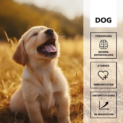 entoVITAL DOG vitamin boost PUPPY pour chiens