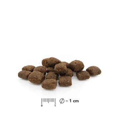 entoVITAL DOG SENSITIV pour chiens