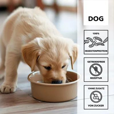 entoVITAL DOG PUPPY entoVITAL DOG PUPPY