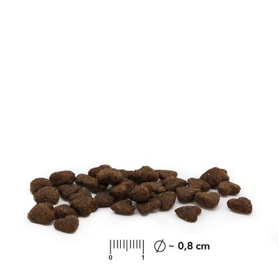 entoVITAL DOG PUPPY pour chiots