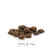 entoVITAL DOG SENSITIV pour chiens