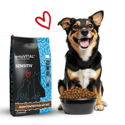 entoVITAL DOG SENSITIV pour chiens