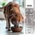  entoVITAL DOG SENIOR pour chiens