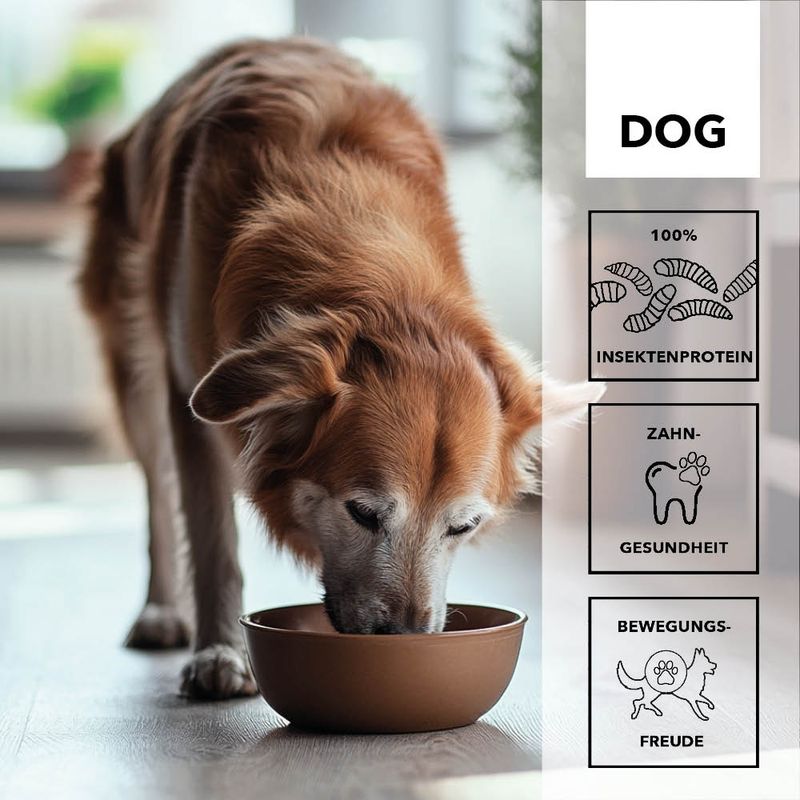  entoVITAL DOG SENIOR pour chiens