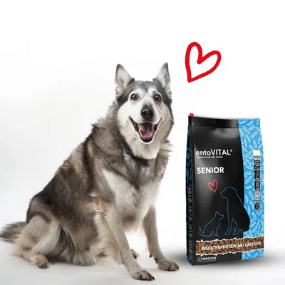  entoVITAL DOG SENIOR pour chiens