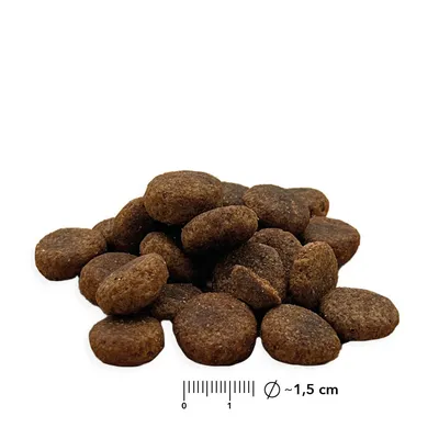  entoVITAL DOG SENIOR pour chiens