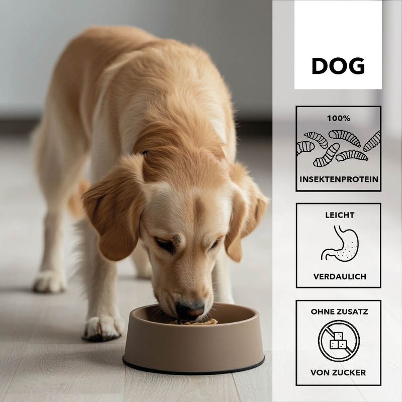 entoVITAL DOG SENSITIV pour chiens