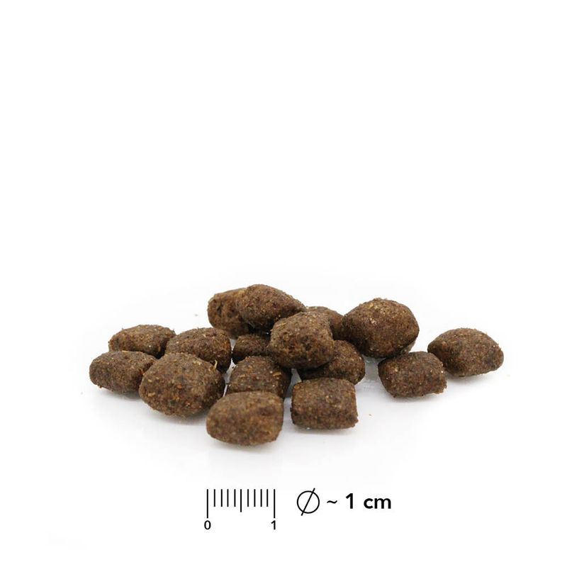 entoVITAL DOG SENSITIV pour chiens