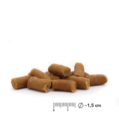 ntoVITAL DOG Soft Snacks hypoallergéniques pour chiens