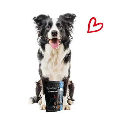 ntoVITAL DOG Soft Snacks hypoallergéniques pour chiens
