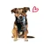 ntoVITAL DOG Soft Snacks hypoallergéniques pour chiens