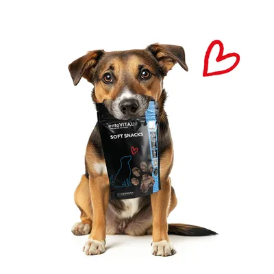 ntoVITAL DOG Soft Snacks hypoallergéniques pour chiens