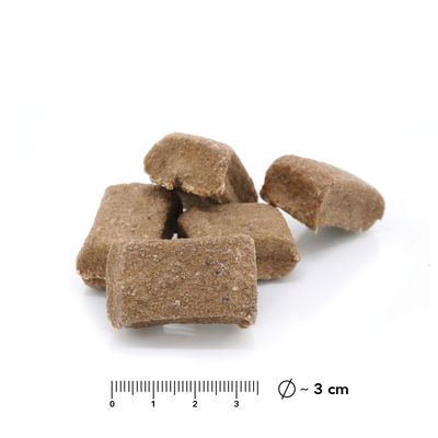 entoVITAL DOG Cubes