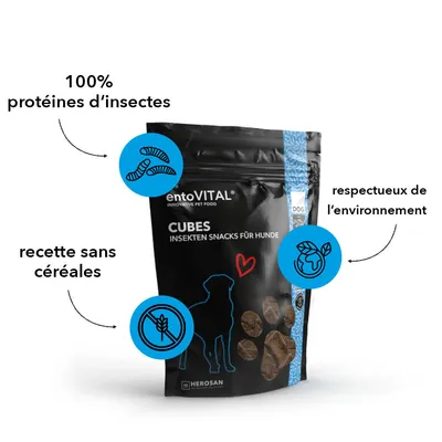 entoVITAL DOG Snack Cubes pour chiens