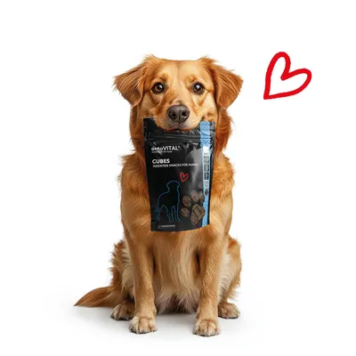 entoVITAL DOG Snack Cubes pour chiens